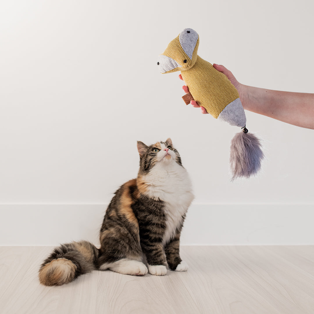 Rocco Catnip Cuddle Chenille - Yellow