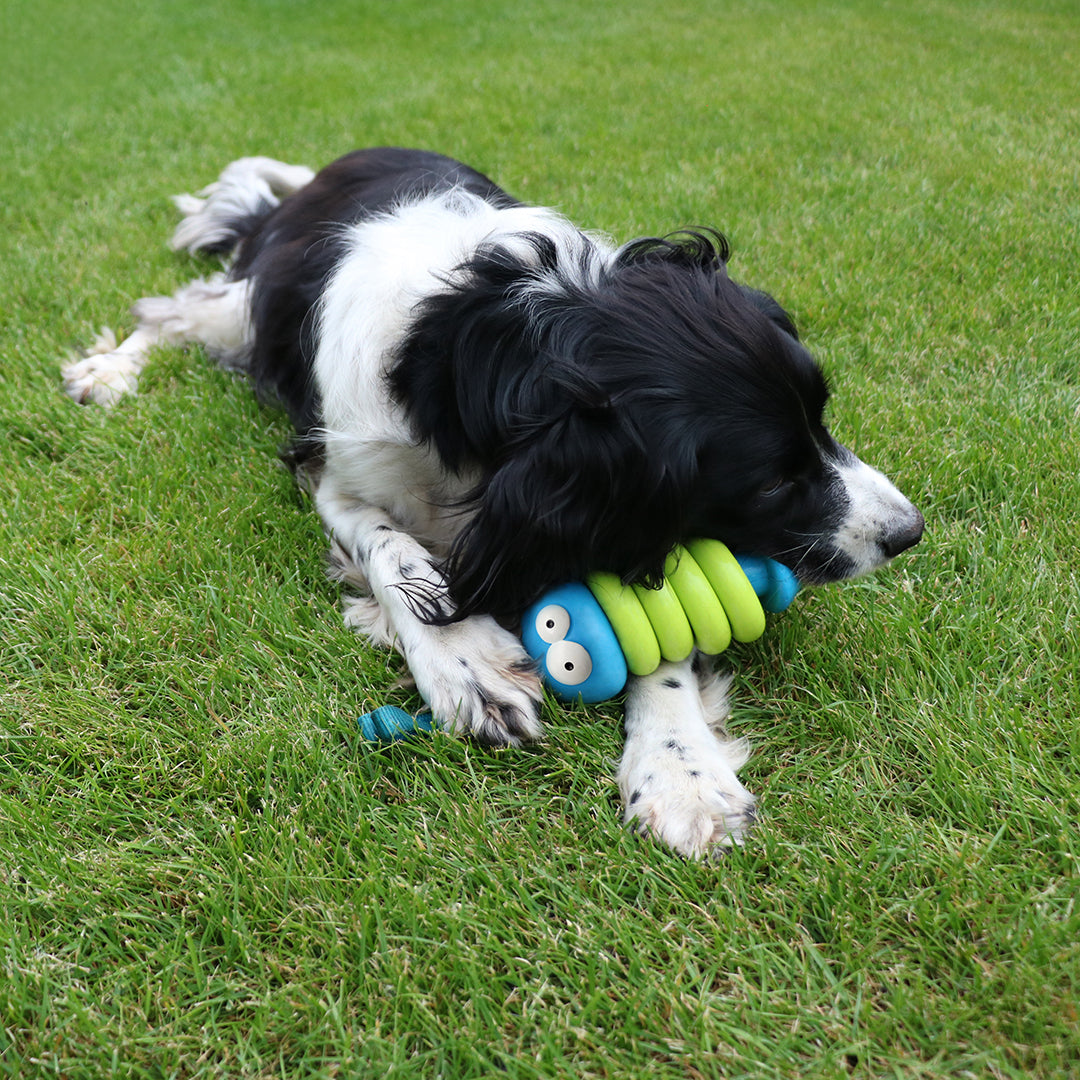 Cookoo Dog Toy Larry