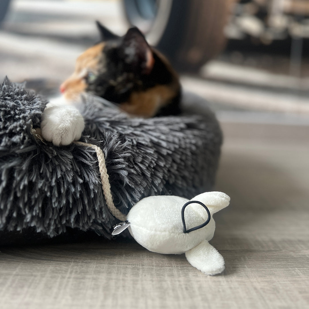 D&D Cat Toy Moosy Play Mouse 2 Pack