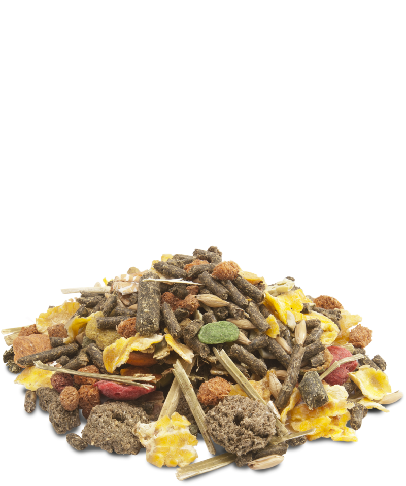Versele Crispy Muesli Guinea Pigs