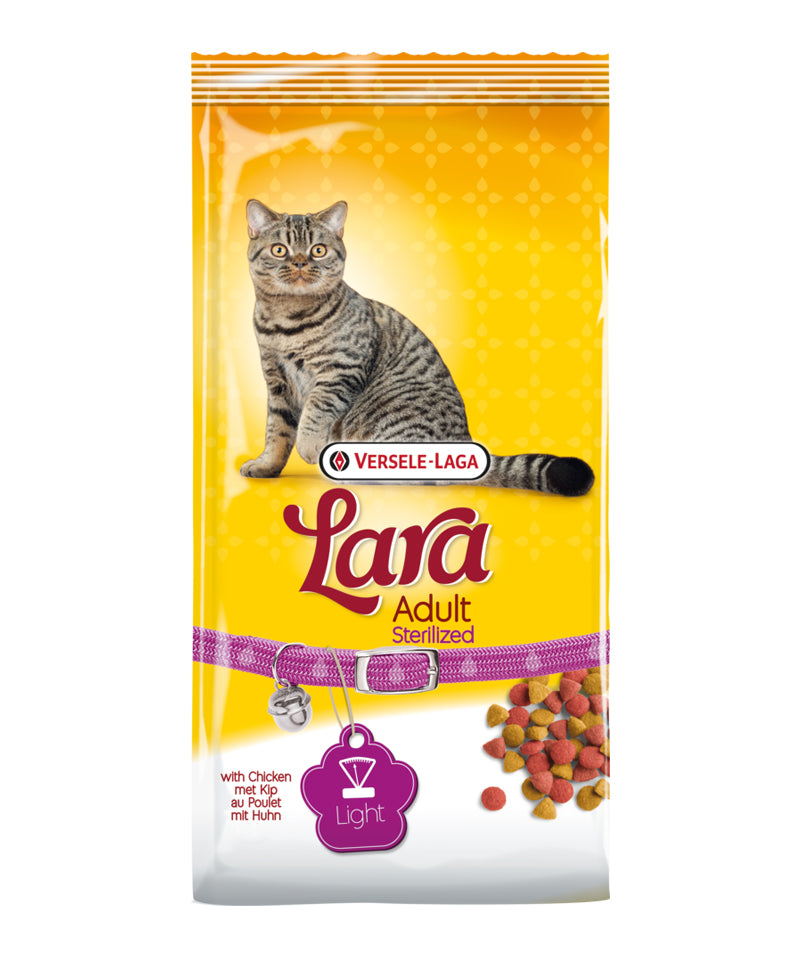 Lara Adult Sterilised