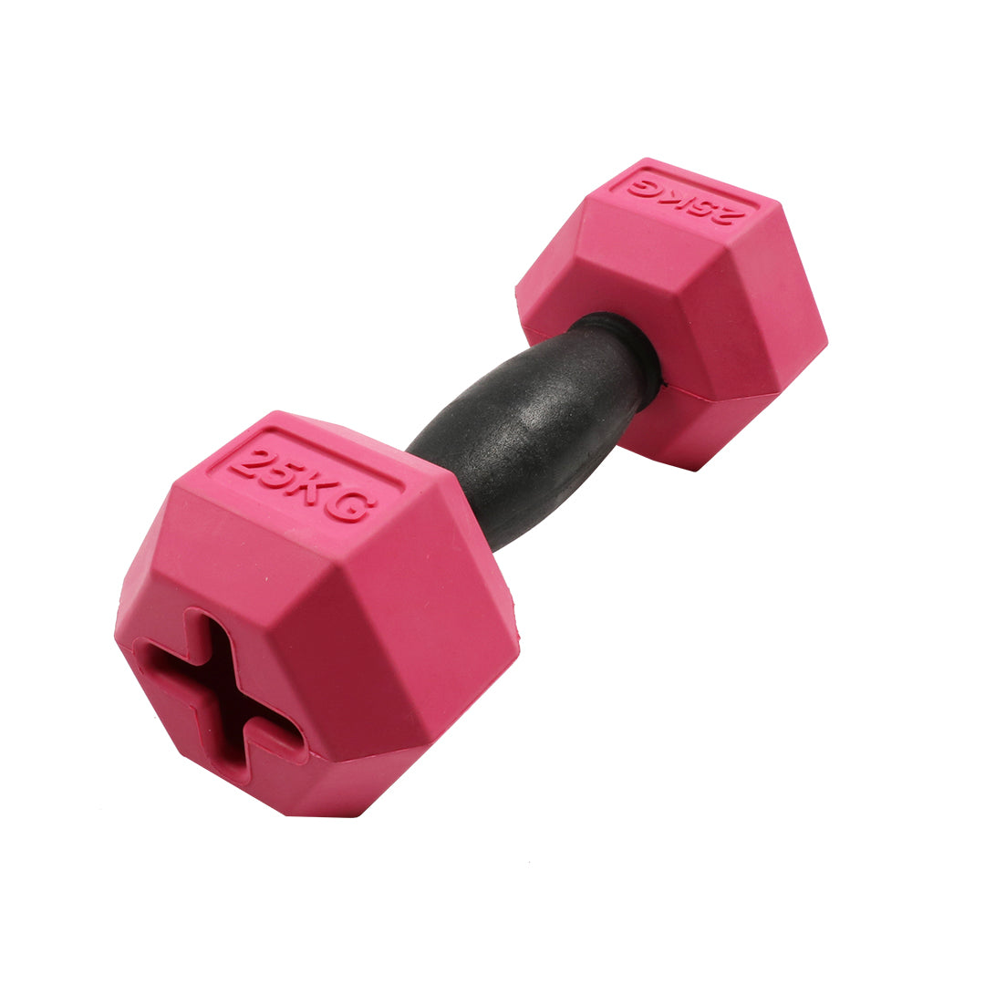 Ebi Dog Toy For The Gainz Dumbbell