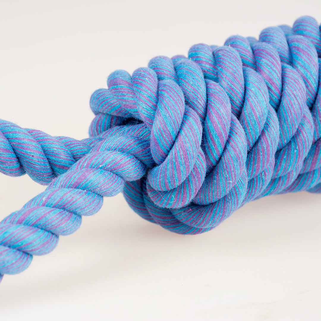 Ebi Dog Toy Tug Life Rope 2 Loops Blue