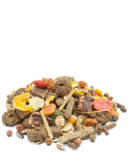 Versele Crispy Muesli Rabbits