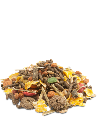 Versele Crispy Muesli Guinea Pigs