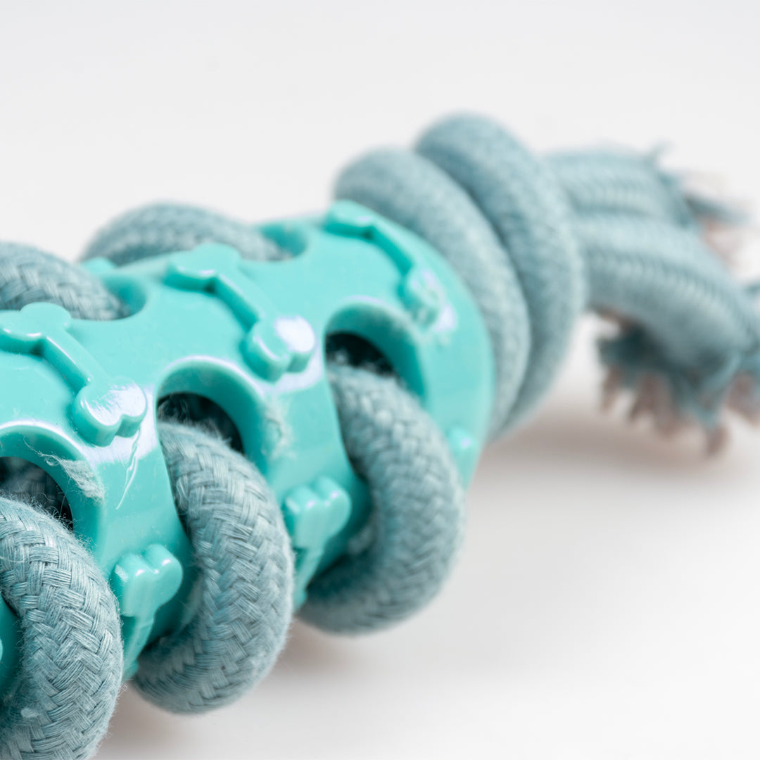 Dog Toy Rope Stick With Rubber & Loop Blue