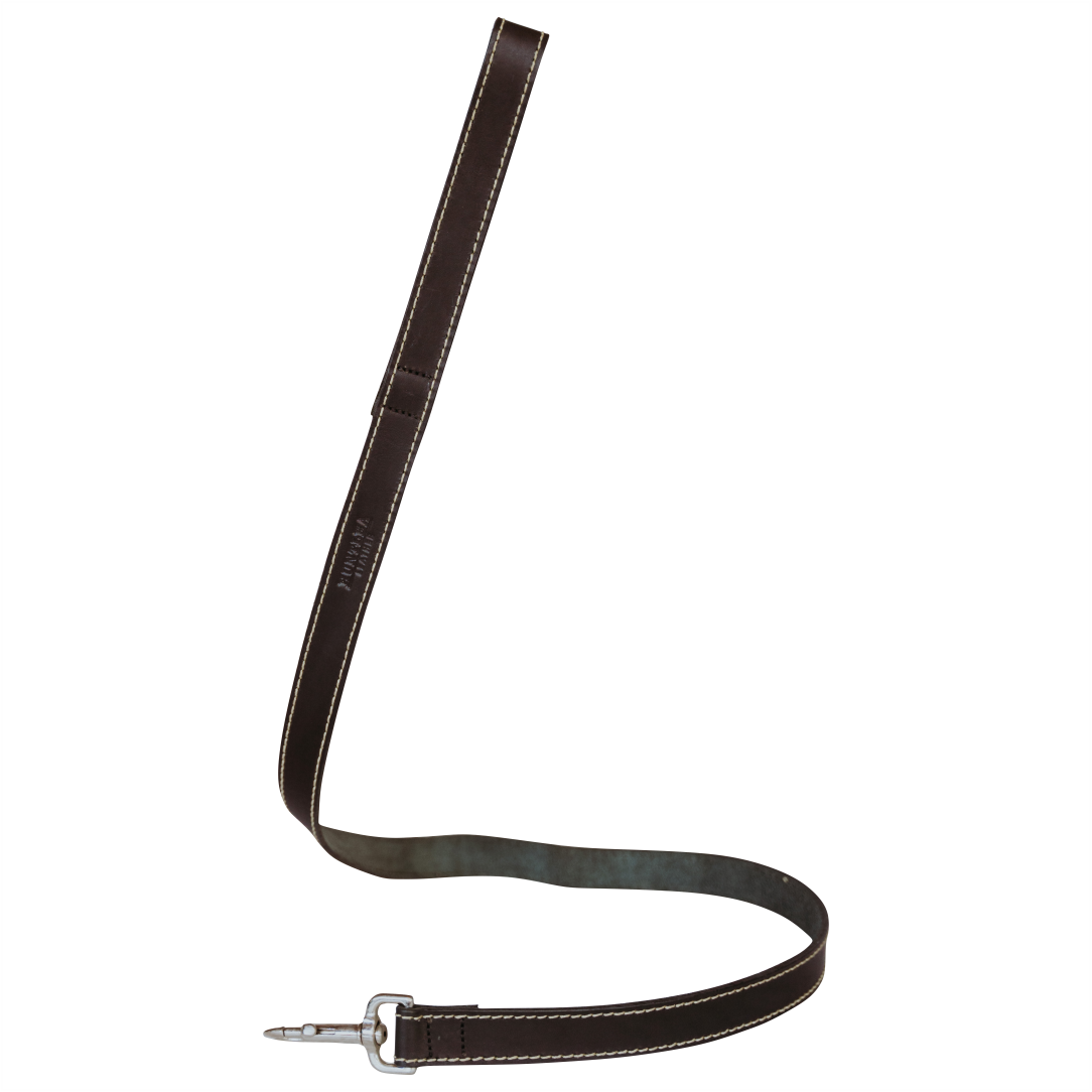 Huntlea leopard Lead Large