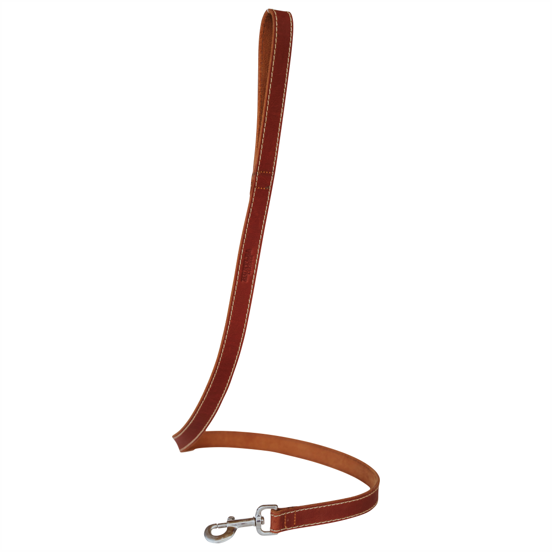 Huntlea leopard Lead Large