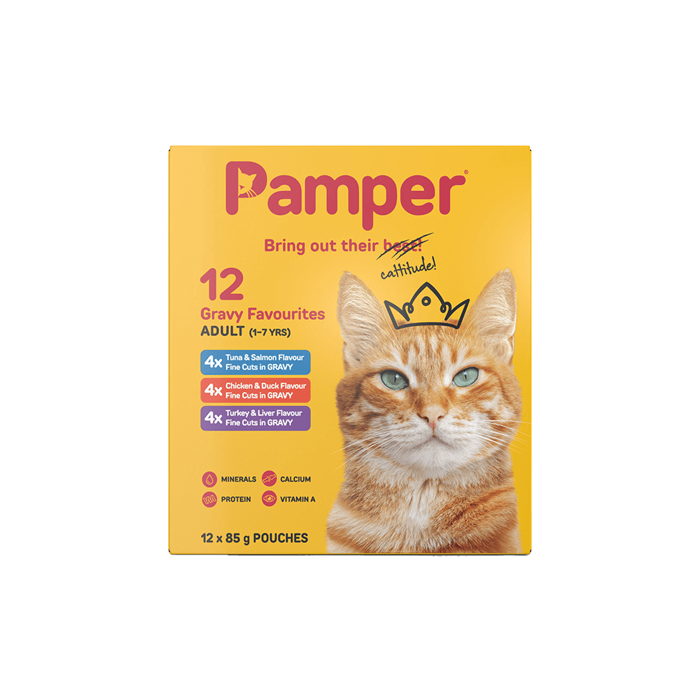 Pamper Adult Gravy Favourite Multi Pack 12x85g