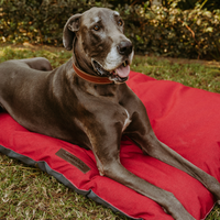 Huntlea Urban Pillow Bed