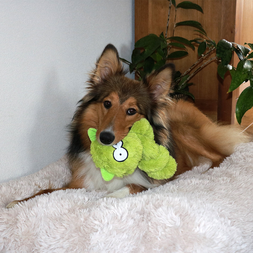 Coockoo Alvin Dog Toy
