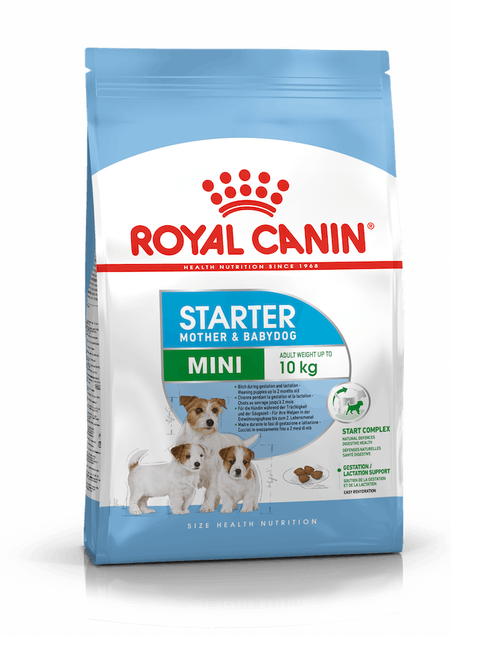 Royal Canin Mini Starter 4kg