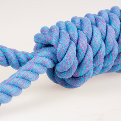 Ebi Dog Toy Tug Life Rope 2 Loops Blue